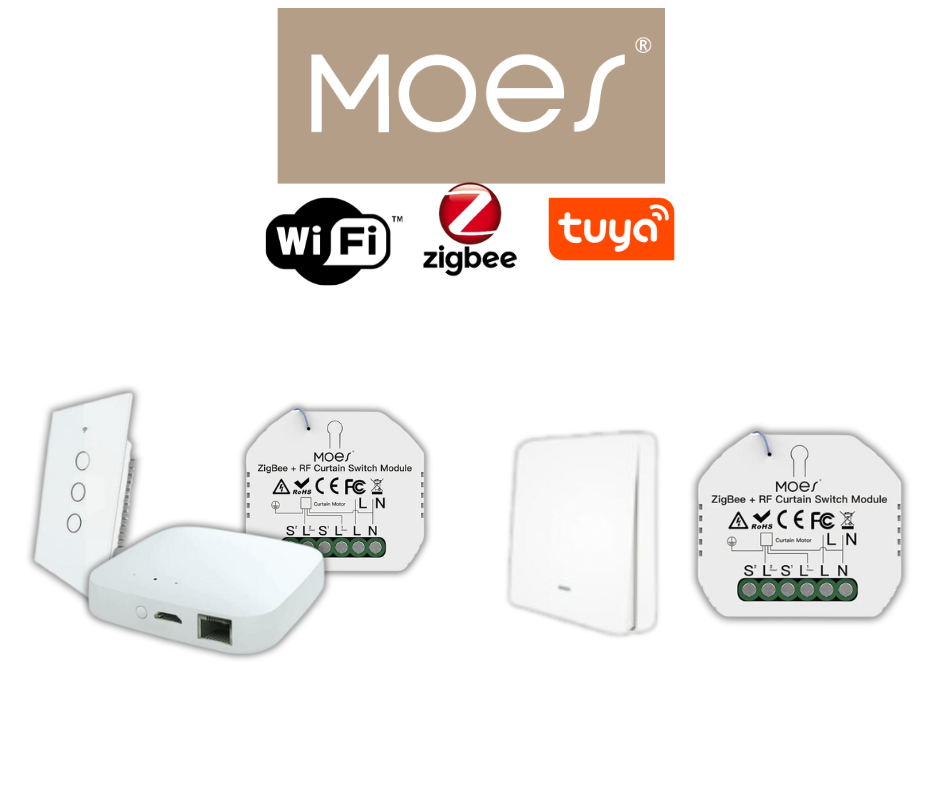 Pack Formation DOM MOES - Module 1