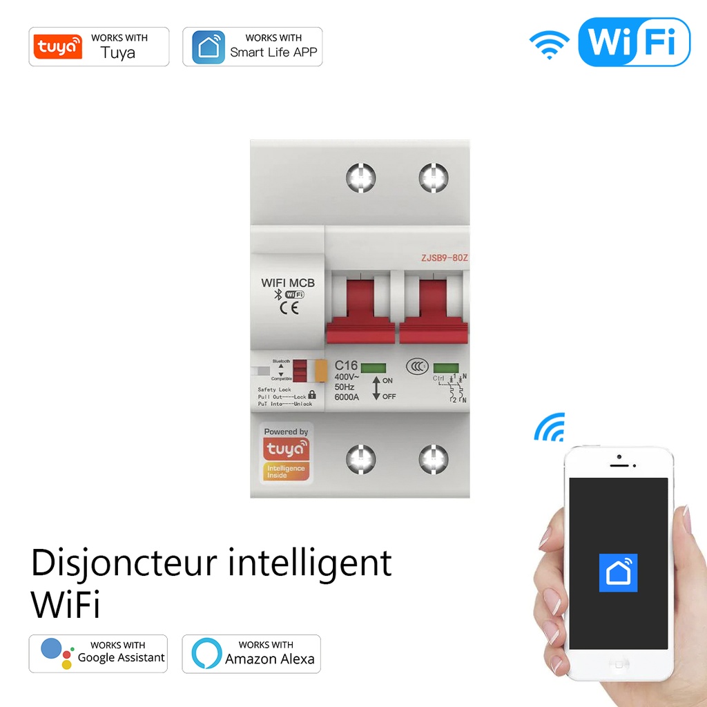 Disjoncteur intelligent avec 2P 100A / WCB-SC-2P100