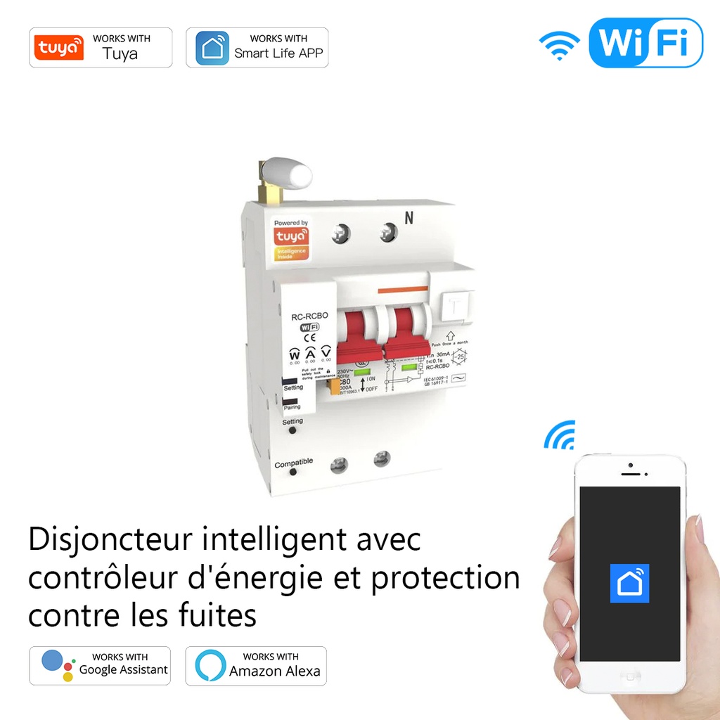 Disjoncteur intelligent avec 2P 100M / WCB-SC-2P100M